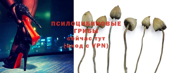 мдма Карпинск