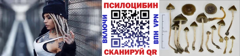 Купить Нижние Серги Псилоцибиновые грибы GOLDEN TEACHER